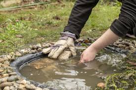 How To Create A Wildlife Pond Garden