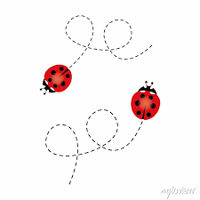 Cartoon Ladybird Icon Ladybug Flying