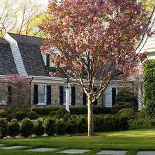 50 Front Yard Landscaping Ideas To