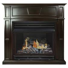 Ventless Natural Gas Fireplace