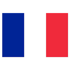 French Flag 5 X 3 Ft Partyrama