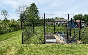 Ten Deer Fence Solutions For Gardens