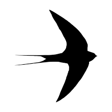Swallow Bird Or Swiftlet Silhouette