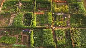 Urban Farm Aerial View Growing And