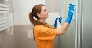 Clean Your Shower Door