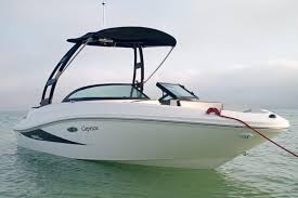 2016 Sea Ray 190 Sport Runabout For