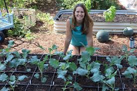 6 Raised Bed Irrigation Options For