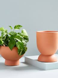 23 Affordable Indoor Planters We Love