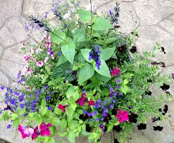How To Create Container Flower Gardens