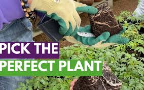 Spring Gardening Tips