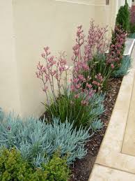 10 Narrow Garden Bed Planting Ideas
