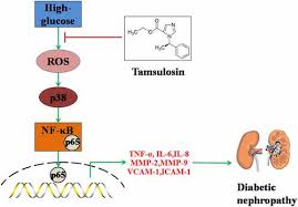 Tamsulosin Attenuates High Glucose