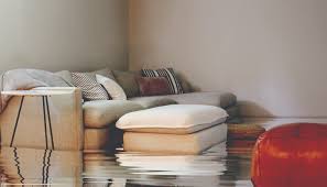 What To Do When Your Basement Floods
