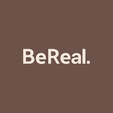 Brown Bereal Icon App Icon App Icon