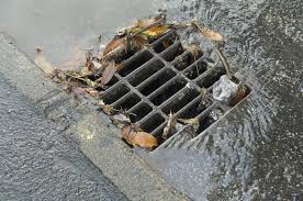 Raw Sewage Aftercare