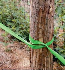 Deer Fence Lee Valley Tools