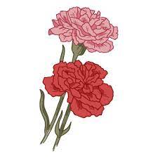 Carnation Flowers Icon Png Design