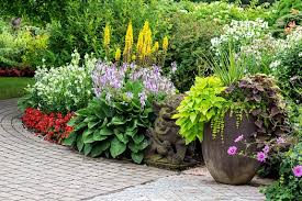 Planting Flowers Among Landscaping Stones