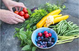 Small Space Vegetable Gardening Grow