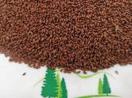Brown Asaliya Seeds Halim