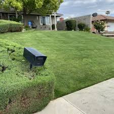 El Torito Gardening Updated May 2025
