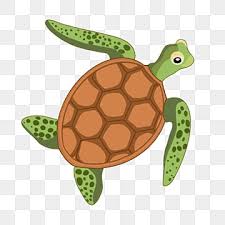 Sea Turtle Clipart Images Free