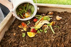 Make Your Own Compost Sheknows