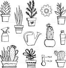 Hand Drawn Vector Garden Icon Set