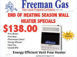 Wall Heater 20000btu Freeman Gas