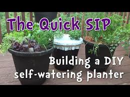 Diy Self Watering Container Garden