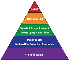 Disaster Surveillance Carbon Monoxide