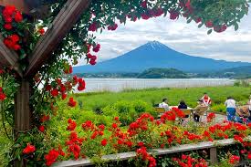 Mt Fuji Private Tour With English