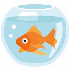 Iconfinder Fish Tank Goldfish Pets