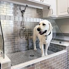 Dog Wash Station Ideas For Clean