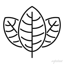 Basil Leaf Icon Outline Vector Herb