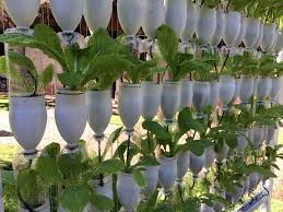 40 Diy Wall Garden Ideas To Transform