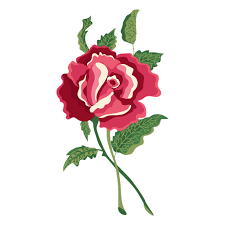 Blooming Rose Water Paint Icon Png