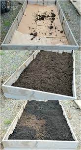 Raised Garden Beds Diy Vegetables