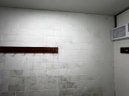 Mould Remediation Gold Coast