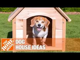 Dog House Ideas The Home Depot