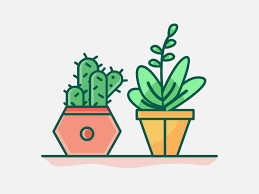 Cactus And Plant Icon Uplabs