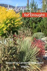 Landscaping For Drought Inspiring