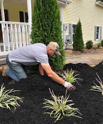 How To Create A Landscape Bed Plant