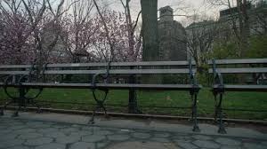 Park Benches Stock Footage