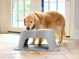 Heavy Dog Bowls That Can T Be Moved