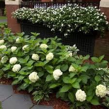 18 Lush Garden Border Ideas For