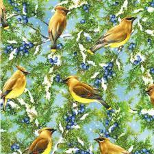 Cedar Waxwing Bird Fabric Winter