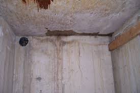 Cold Cellar Leaks Repairs Pcs
