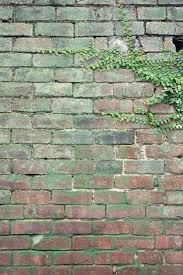 Green Brick Wall Images Free