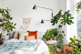 Feng Shui Bedroom Plants Best Greenery